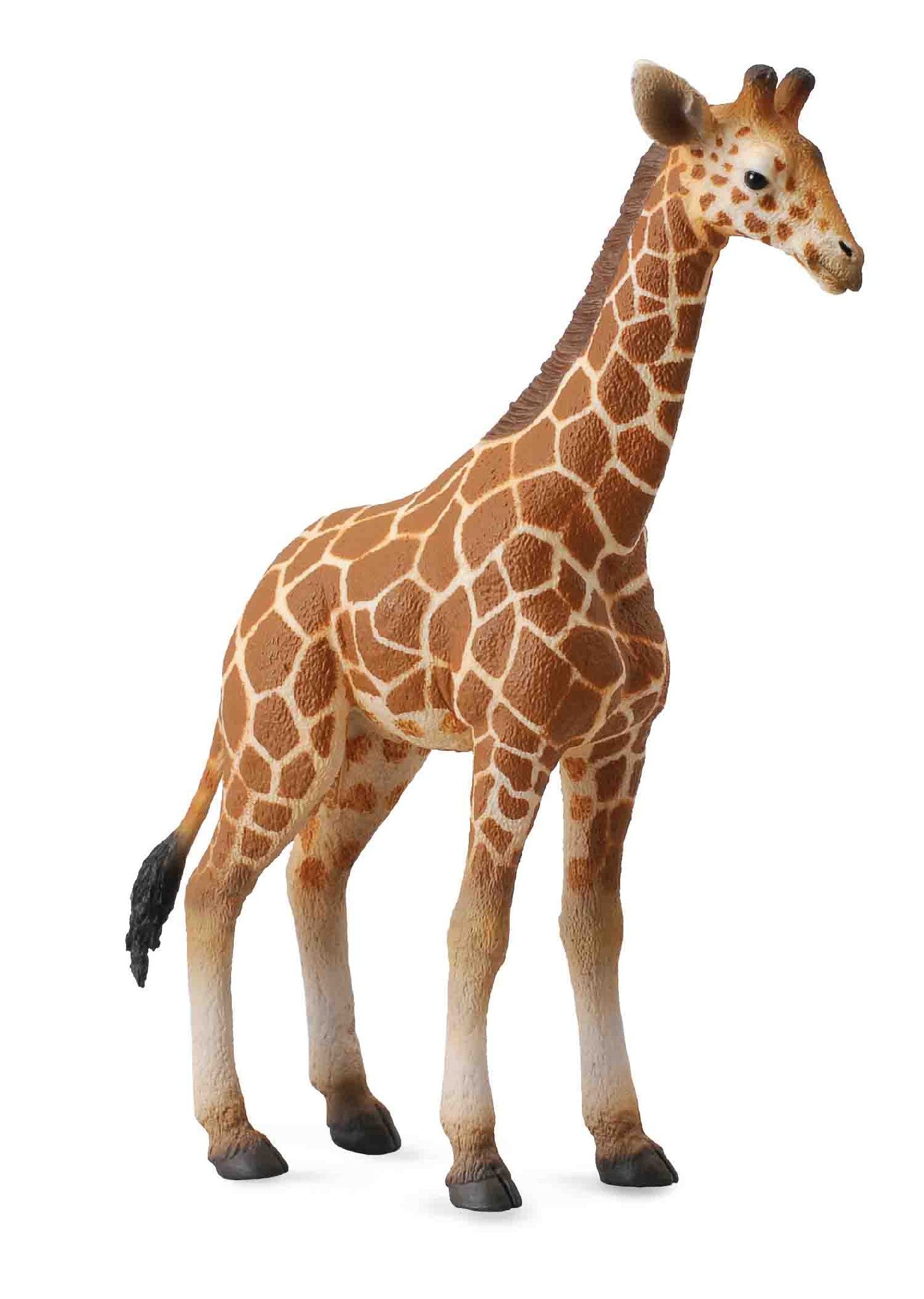 Collecta Reticulated Giraffe Calf