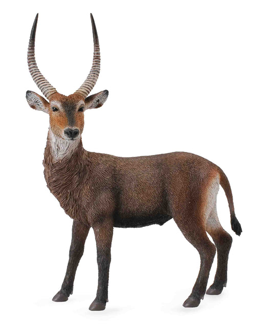 Collecta Waterbuck