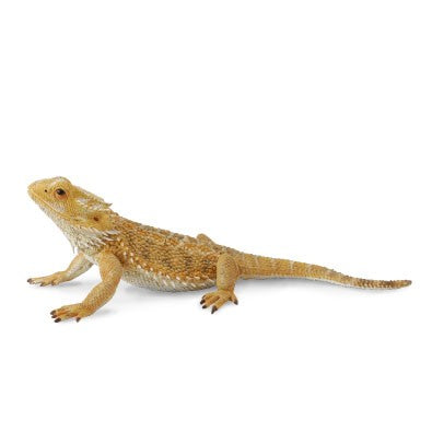 Collecta Bearded Dragon Lizard