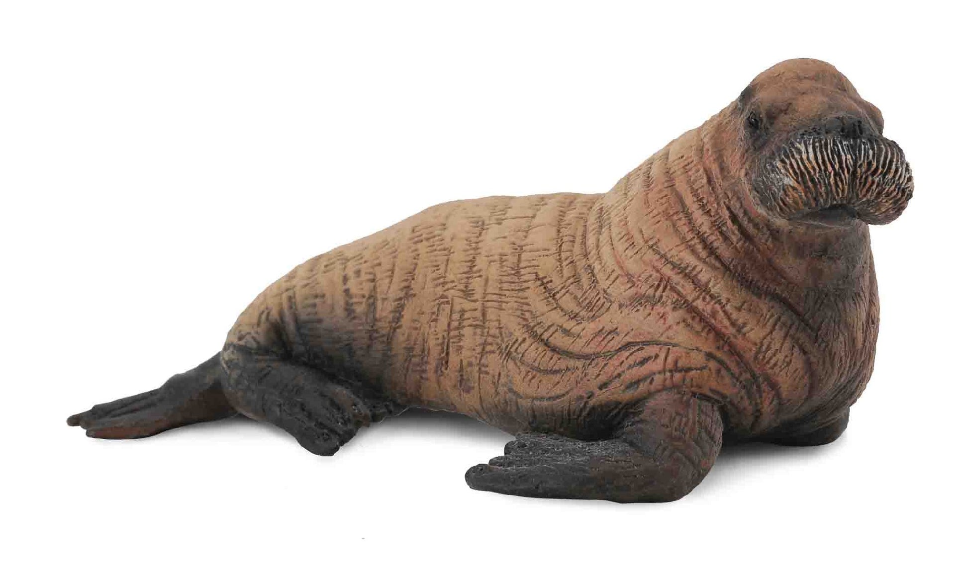 Collecta Walrus Calf