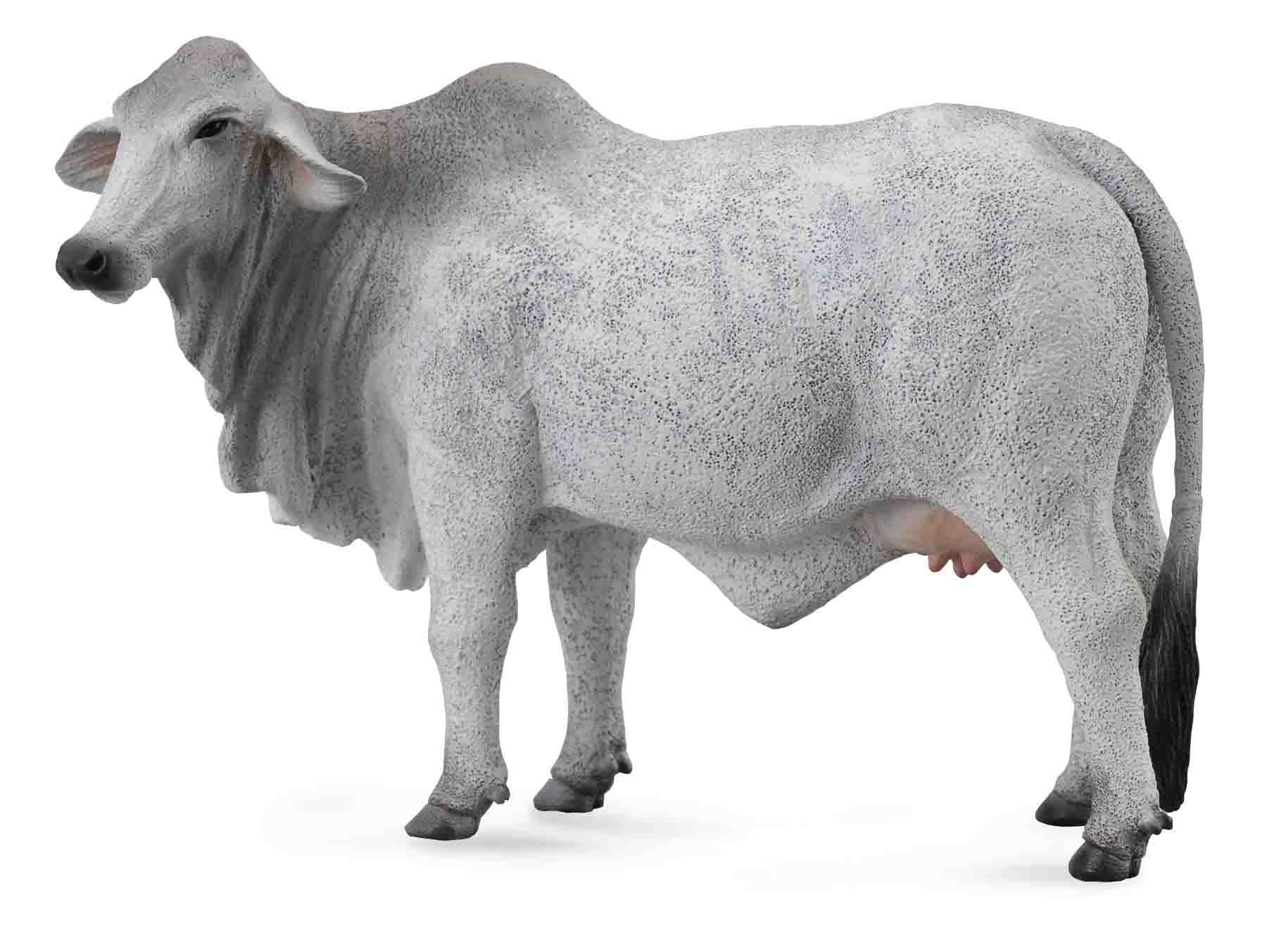 Collecta Brahman Cow