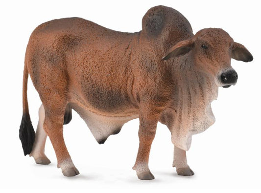 Collecta Brahman Bull