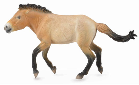 Collecta Przewalski Stallion