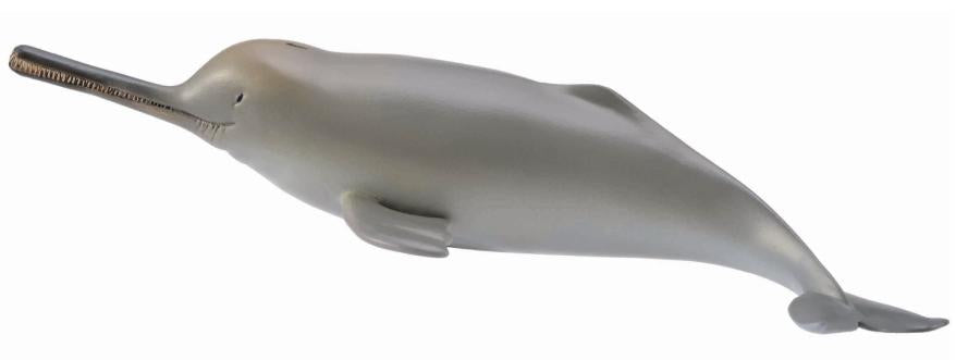 Collecta Dolphin River