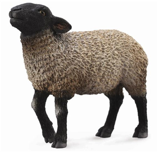 Collecta Suffolk