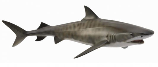 Collecta Tiger Shark