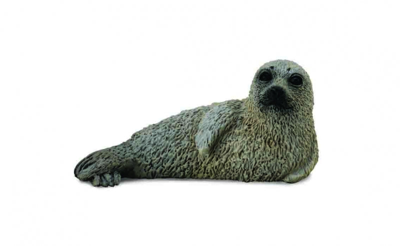Collecta Spotted Seal Pup