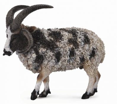 Collecta Jacob Sheep