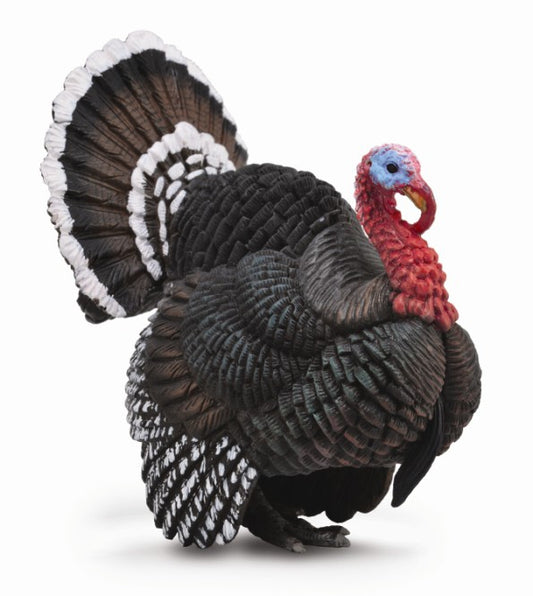 Collecta Turkey