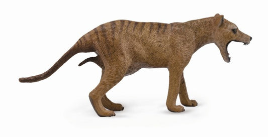 Collecta Thylacine (tasmanian Tiger)