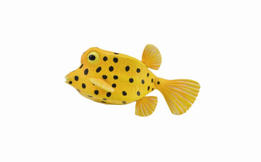 Collecta Boxfish