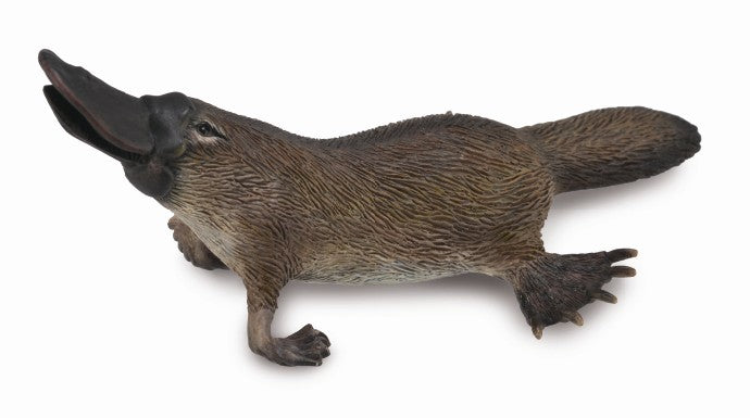 Collecta Platypus