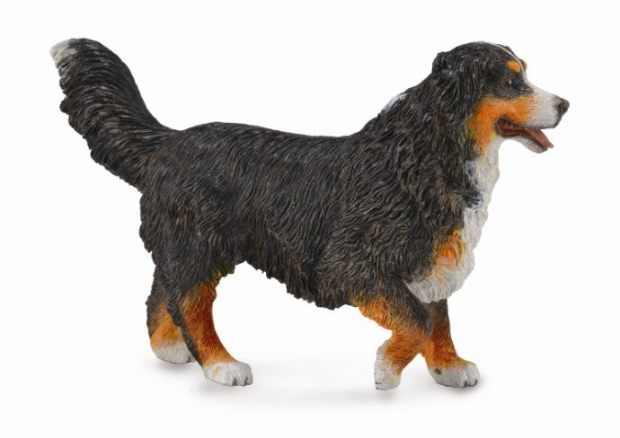 Collecta Bernese Mountain Dog