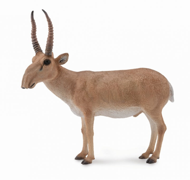 Collecta Saiga Antelope