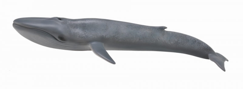 Collecta Blue Whale