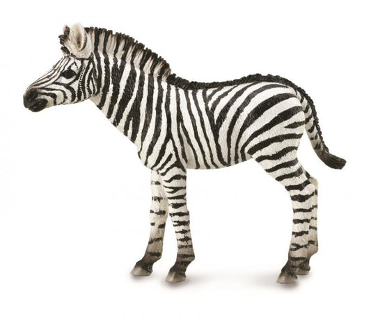 Collecta Zebra Foal