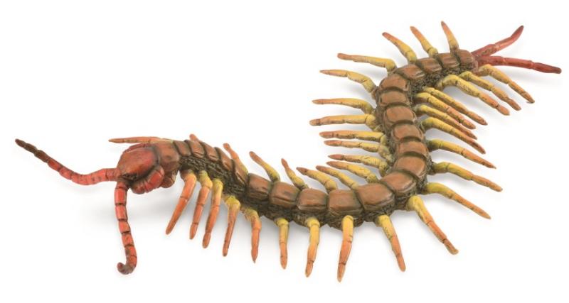 Collecta Centipede