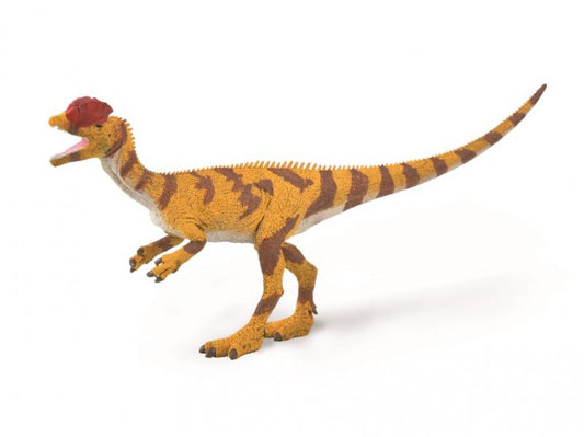 Collecta Dilophosaurs