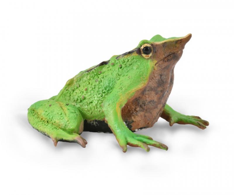 Collecta Darwins Frog