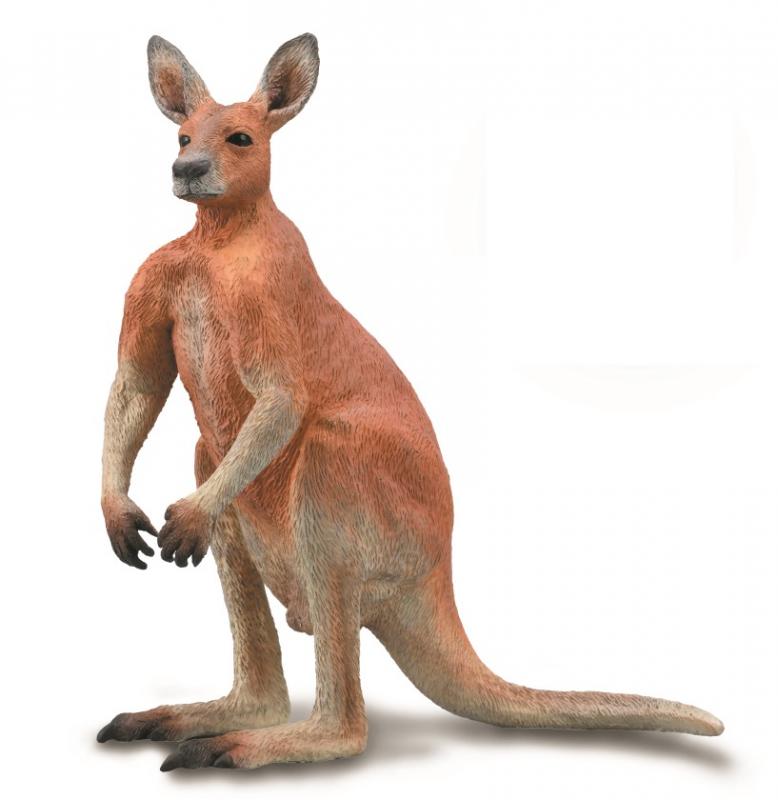 Collecta Red Kangaroo-Male