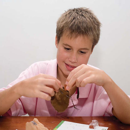 KidzLabs - Crystal Mining