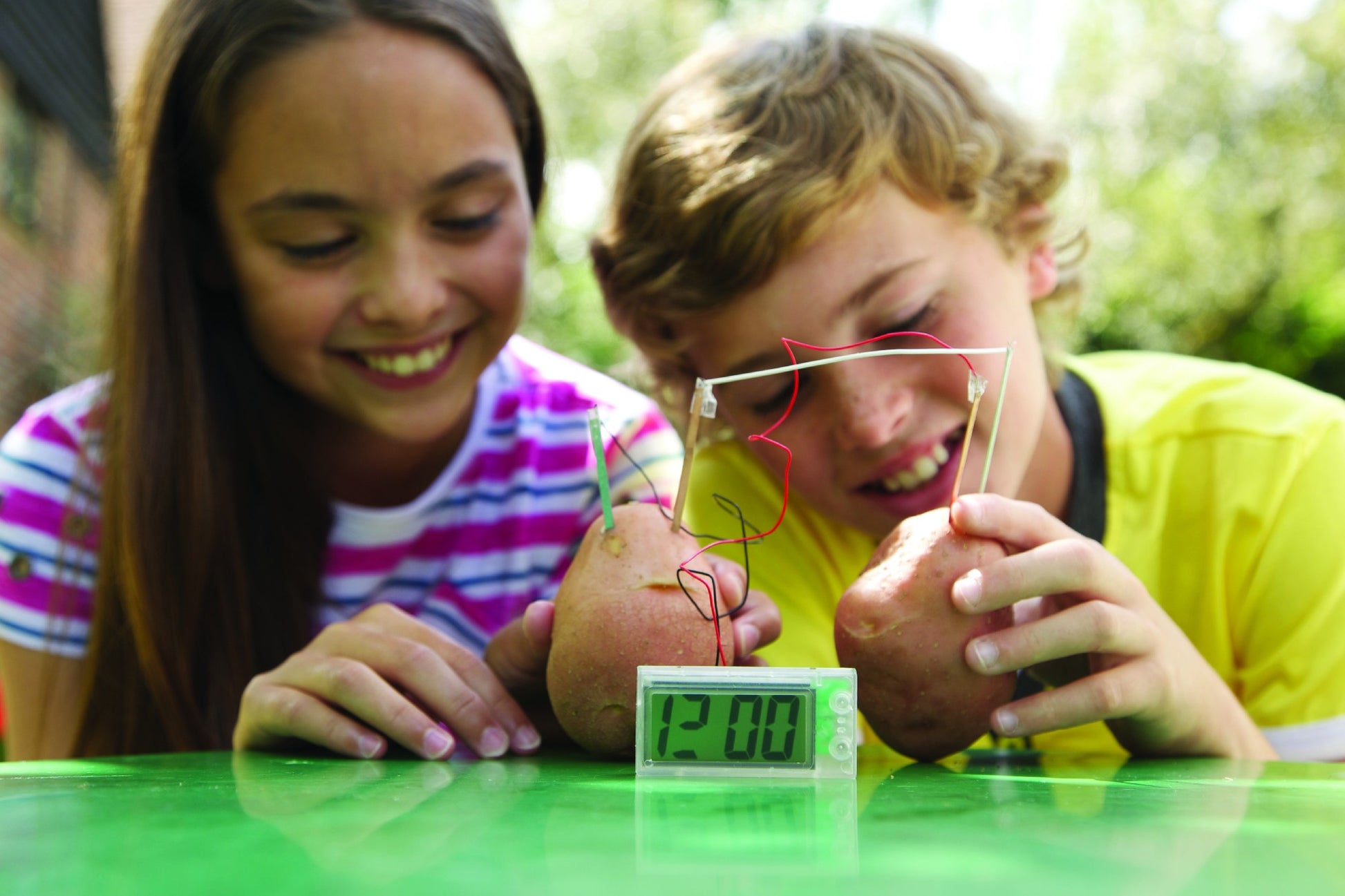 Green Science - Potato Clock