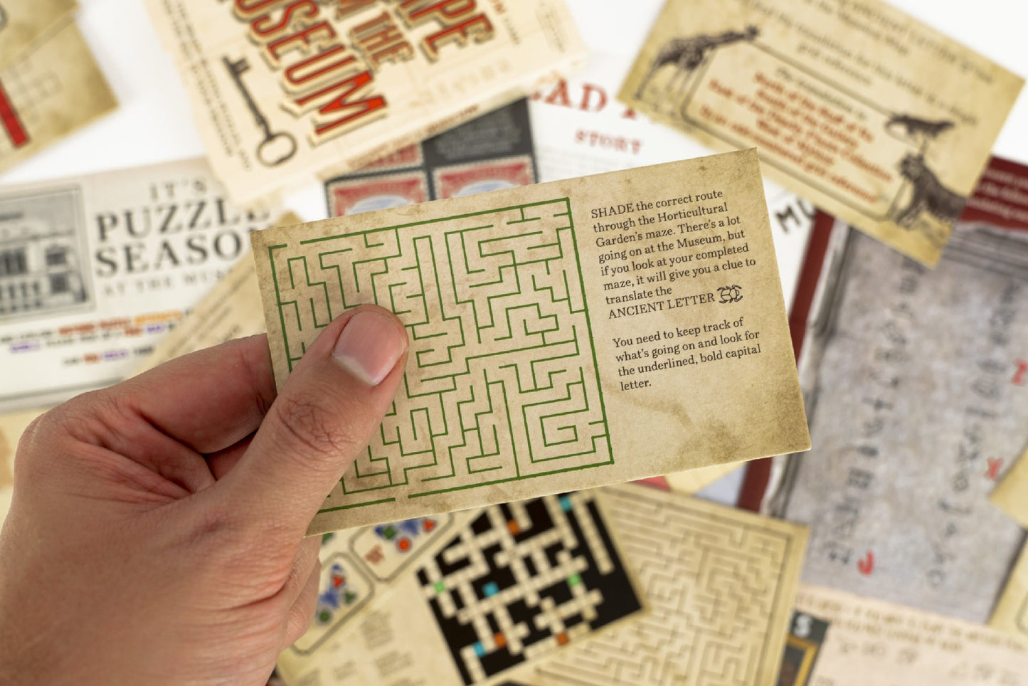 Escape from the Museum