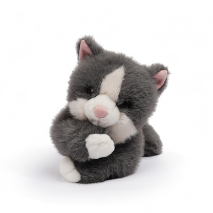 One Love - Misty Grey Cat