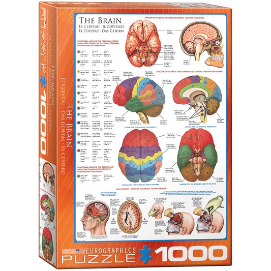 Jigsaw 1000pc - The Brain