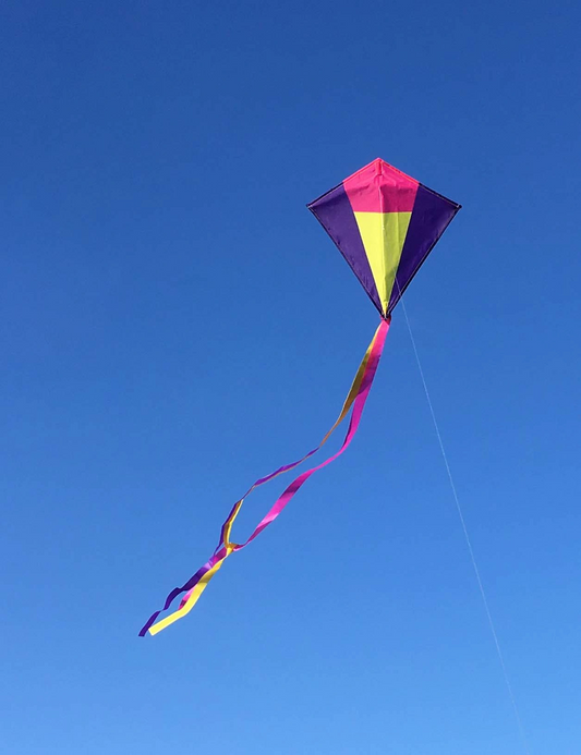 Kite Small Diamond Purple Yellow Pink