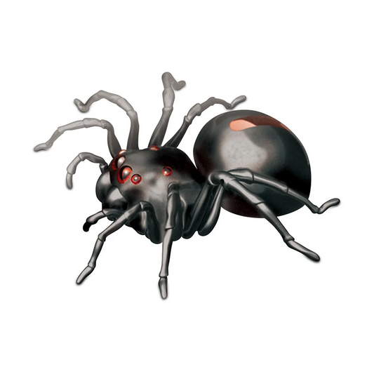 Spider Kit Salt Water