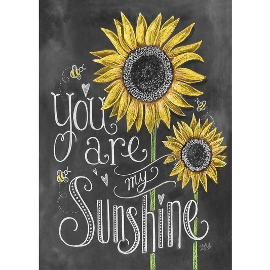 Jigsaw 1000pc Chalk Talk - Sunshine
