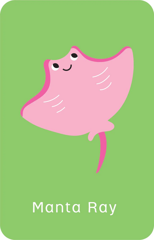 Snap Little Genius - Go Fish