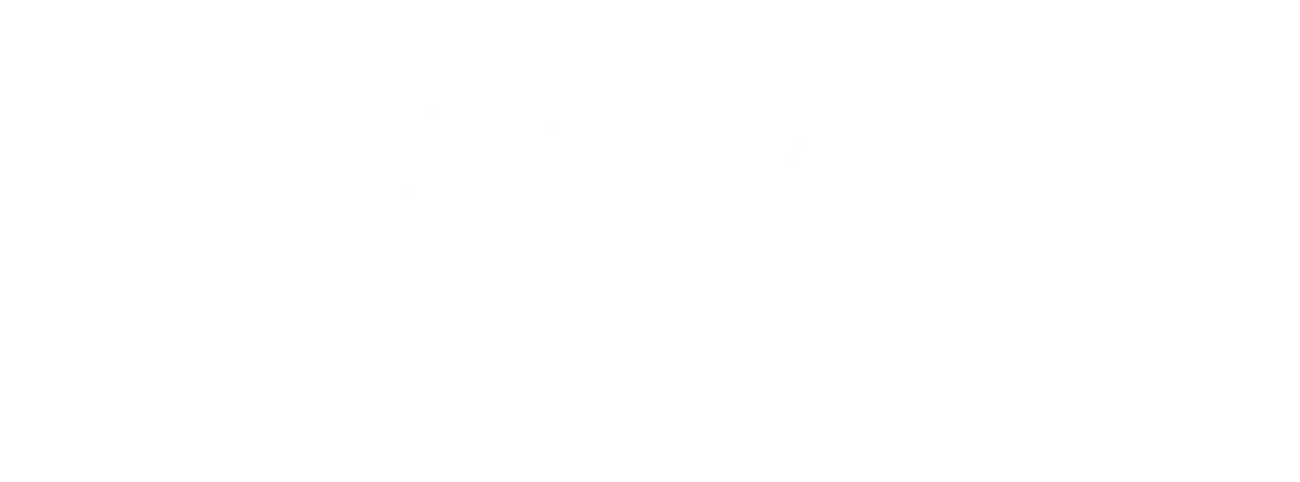 Plush Toys | Australian Wildlife