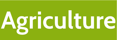 Bruder | Agriculture logo