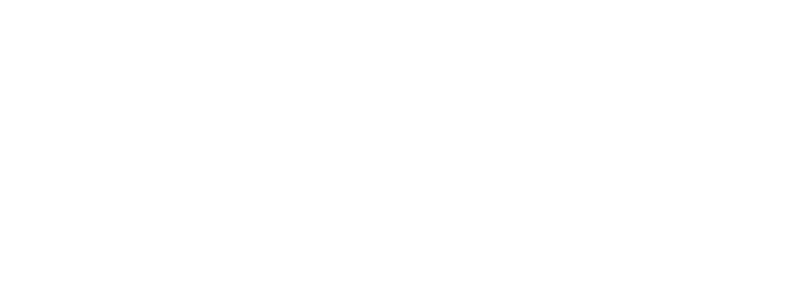 Plush Toys | Guinea Pigs & Rabbits