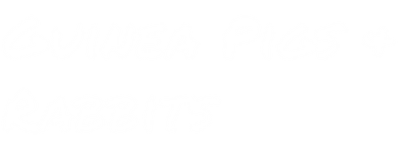 Plush Toys | Guinea Pigs & Rabbits