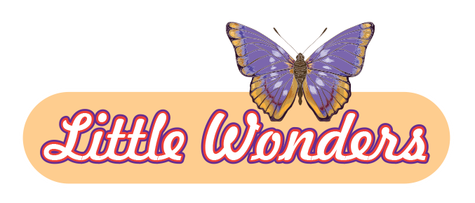 Collecta | Little Wonders