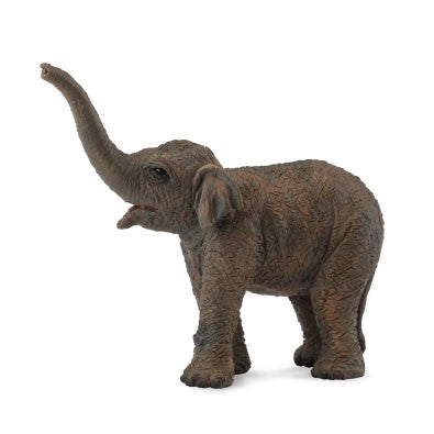 Collecta Asian Elephant Calf