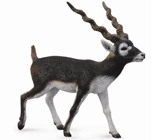 Collecta Blackbuck