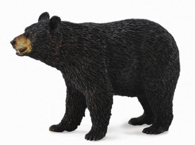 Collecta American Black Bear